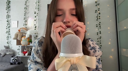 《Raccoon ASMR》：专为即刻入睡者设计（快速催眠/深度放松/无干扰音效）