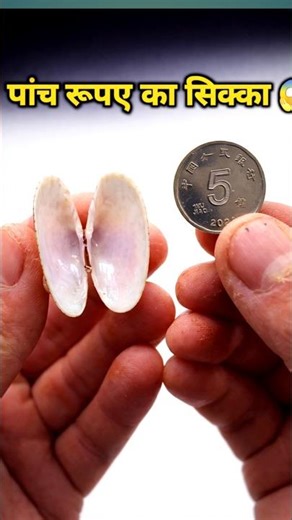 Hid Five rupee coin 😱 mini vlog #shorts #minivlog #vlog #vlogs #tiktok #youtubeshorts #shortvideo