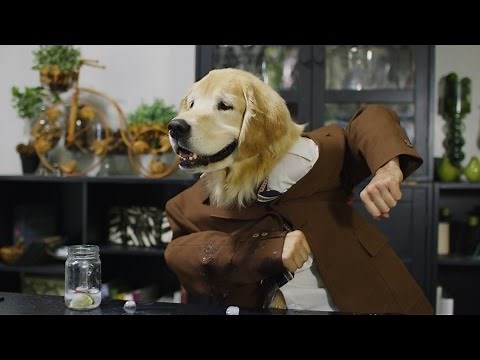 Talking Dogs Dinner Party in 4K! | DEVINSUPERTRAMP