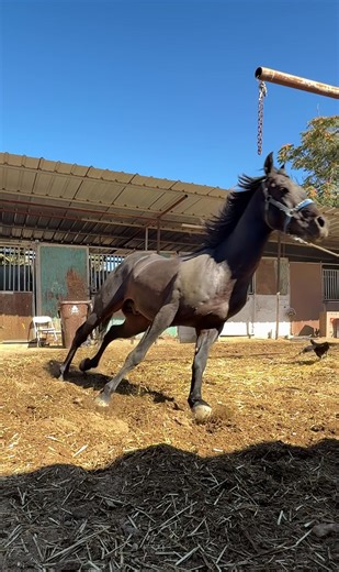 That eye contact 👀 | that eye contact