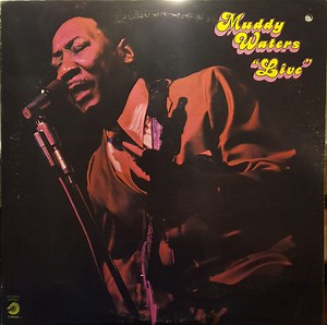 Muddy Waters - Live