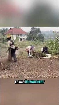This couple bought this house and contacted me to tidy up their garden.