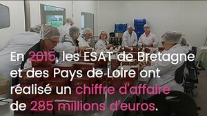 Cette semaine, depuis lundi jusqu'à jeudi après le journal de 19 h retrouvez nos reportages à la découverte des ESAT (établissements et services d'aide par le travail). | France 3 Bretagne