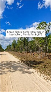 Cheap lot for sale in Florida for $4975 #land #landcentury #florida #shorts #realestate #fyp #sale