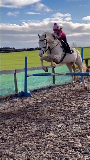 Bounce Bounce on Ace #horse #equestrianjourney #equestrian #pony #horsegirl #showjumping