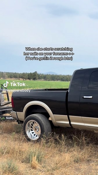 Understanding Diesel Power: Cummins Engine Insights