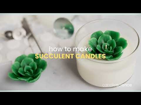 How to Make Succulent Candles | CandleScience | Candle Making Tips