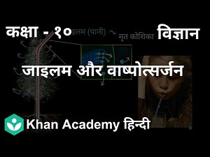 Xylem & transpiration [Hindi] | Life Processes | 10th | Biology | Khan Academy