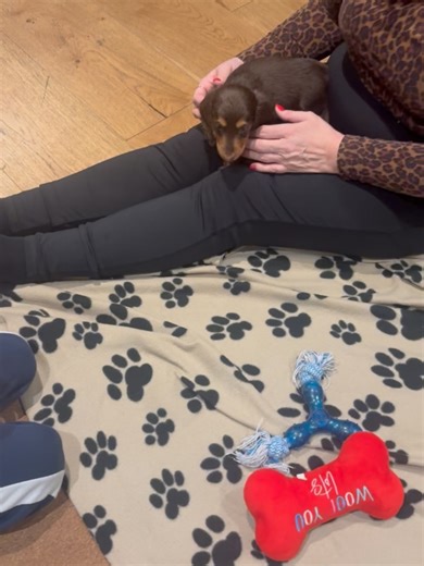 Pawsome Yoga- Puppy play, cuddle and therapy Classes on Instagram: "Today’s puppies understood the assignment 😮‍💨🤎 Tiny paws, big personalities and zero respect for personal space. We are obsessed and somehow still smiling 🥹🐾 And guess what… we’re back in TONBRIDGE tomorrow and we’ve just added extra Puppy Play & Cuddle spaces 🎉 Feeling tired? Stressed? Emotionally fragile? ✨ Puppies fix everything ✨ Who needs some puppy love right now? 🙋‍♀️🐶 👉 Book now before they scamper off 🏃‍♂️💨 #