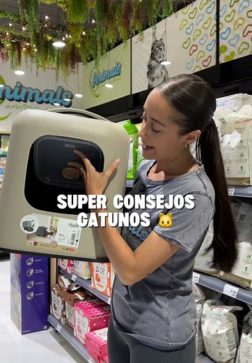 Consejos importantes si tienes un michi: cuidados y tienda para mascotas