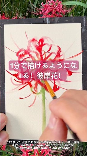 Learn to draw red spider lilies in just 1 minute! #art #drawing #illustration