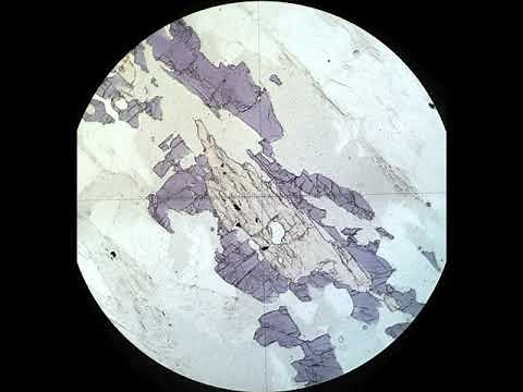 Pleochroism and color tutorial Optical mineralogy