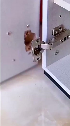 Hinge Repair Plate Demo 2021