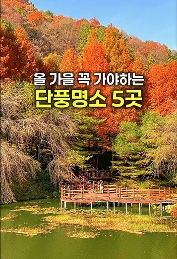 올가을 꼭 가야하는 단풍명소 5곳