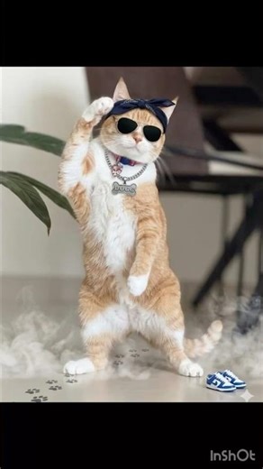 Call Me Leo | #cat #pawsn #catvideos #catshorts #funnycats #kitten #instagram #instacat #instareels