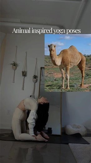 Animal inspired yoga poses. #yogaposes