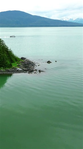Outer Point, Juneau Alaska carries pockets of open muskeg within its coastal rainforest
