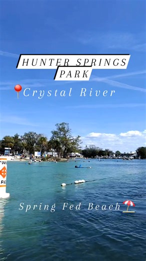 Did you know there is a spring fed beach in Crystal River with Crystal Clear water?!? #florida #beachlife #floridasprings #beachvibes #sun #beach #beachday #crystalriver #2026Goals #summervacation #springvibes #springvacation #citruscounty #paddleboarding #hiddentreasure #freeinformation #travelwithme #treasure #outdoors #river #springbreak #summervibes #swimming | River Karen