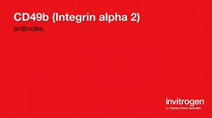 CD49b (Integrin alpha 2) antibodies from Thermo Fisher Scientific