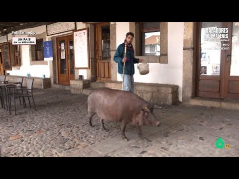 Isma Juárez pasea al famoso cerdo de La Alberca - El Intermedio