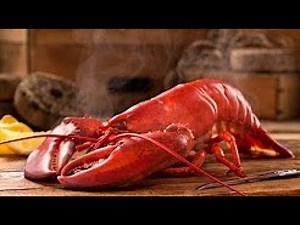 How To Correctly Cook Lobster (2x Speed)