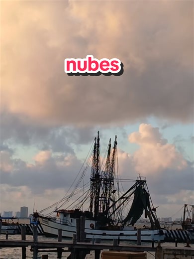 puerto juaréz, cancun #2026 #paisajes #nature #naturalezapaisajes #naturaleza