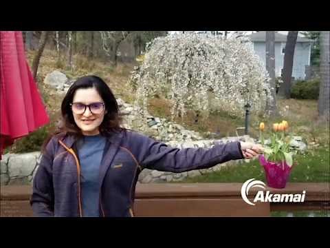 How Akamai Works Remotely