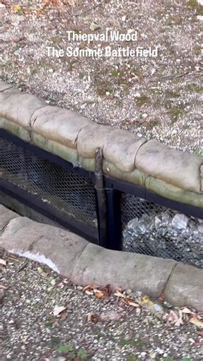 4K views · 10K reactions | Amazing finds in the trenches of Thiepval Wood on the Somme Battlefield. #history #ww1 #greatwar | Vlogging Through History | Facebook