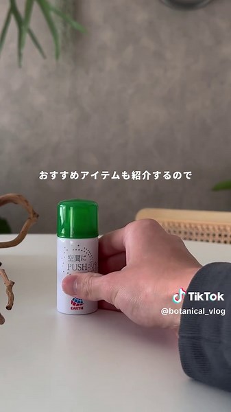 コバエ対策の最も効果的な5つの方法
