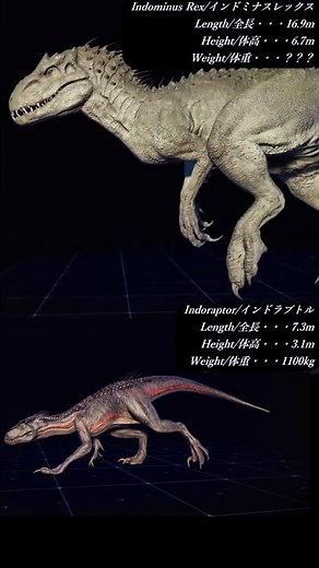 [Hybrid Dinosaur] Indominus Rex & Indoraptor size comparison