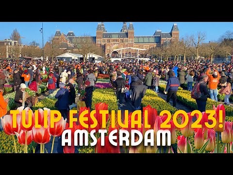 🌷HOW WE CELEBRATE THE NATIONAL TULIP DAY IN AMSTERDAM-NETHERLANDS 🇳🇱 | FREE TULIPS MUSEUMPLEIN!