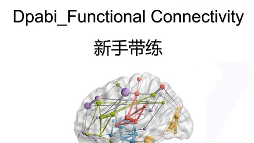 dpabi_FC_功能连接_Part 02