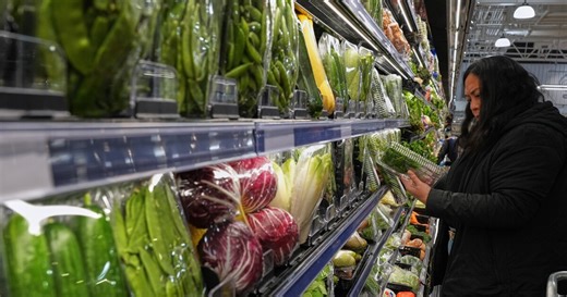 What the tech bros are getting wrong about longevity that you can get right