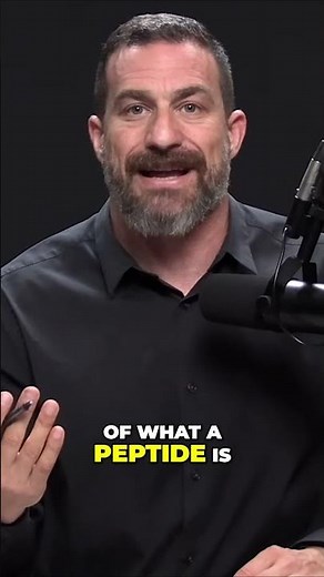 Understanding Peptides From Structure to Function