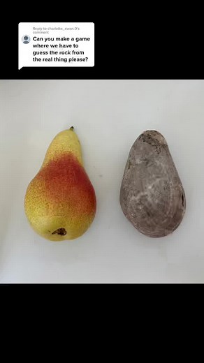 Rock Painting Ideas and Techniques for Beginners