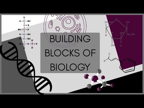 Building Blocks of Biology