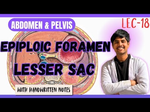 Lesser Sac & Epiploic Foramen Anatomy - Relations & Clinical Importance | Peritoneum Basics Mbbs
