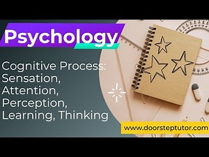 Cognitive Process: Sensation, Attention, Perception, Learning, Thinking | Psychology
