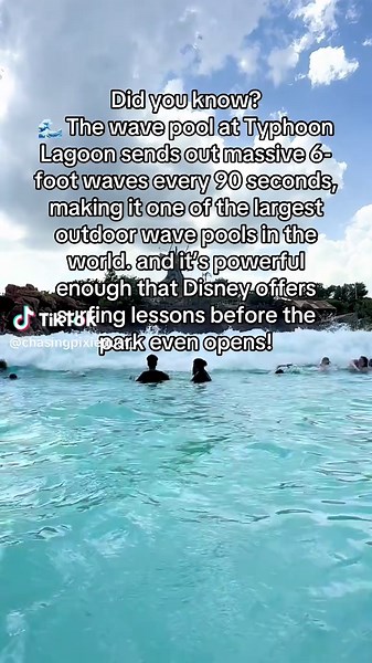 Disney's Typhoon Lagoon: Thrilling Wave Pool Adventures