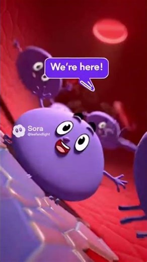 From a Simple Cut to a Life-Saving Clot | Platelets & Coagulation in 10 Seconds #shortvideo