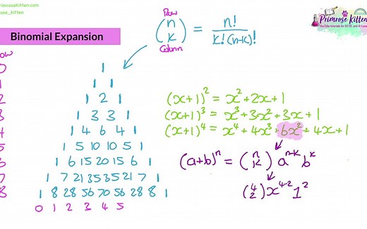 A-level Pure Mathematics 纯数学