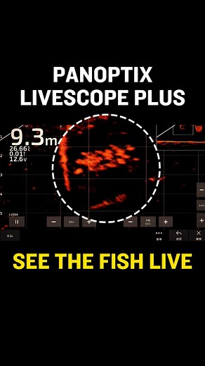 🎣 Fishing meets real-time magic! 🌟 Panoptix Livescope Plus lets you see the fish live！ #PanoptixLivescopePlus #SeeTheFishLive | Garmin Marine Asia