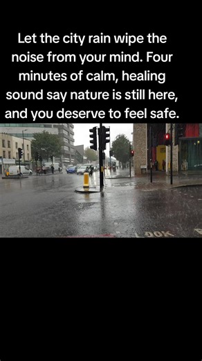 Experience Calming City Rain Sounds for Relaxation