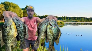Rediscovery of forgotten lake reveals massive high-quality fish stocks