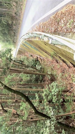 【#iPhoneSE第3世代📱💯✨】熊🧸💨は①急な坂😱😮‍💨②#上越線🚋💯③#関越自動車道🚙💨④#国道17号🚙😵‍💫😵で逃走🧸💨🧸目撃情報もない⚠️#ぴょん🍊猛打📱💨#ゆとりん✨🗣#KALOKUMA🧸