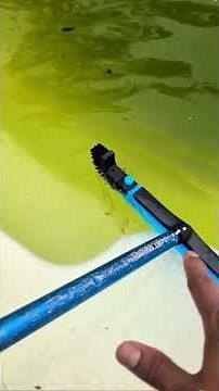 Heavy Duty Pool Scrubber Brush for Walls & Floors in Above-Ground and Inground Pools | Poolvio