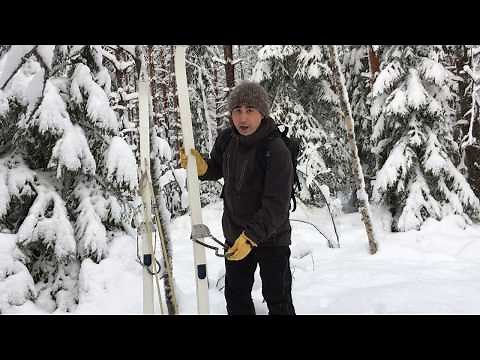 ボレアルの森を歩く「スキートレッキング」