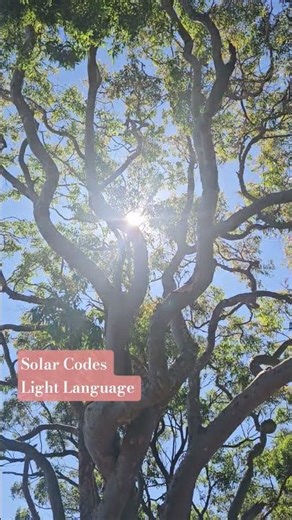Solar Codes for Lightbody Activation #lightlanguage #solarlight