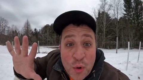 The chaos and hilarity of goose mating season begins