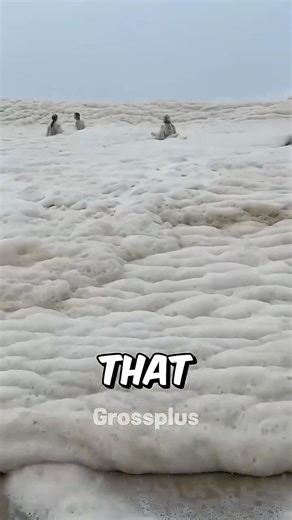 9.1K views · 12 reactions | Sea waste | Relike vibes | Facebook